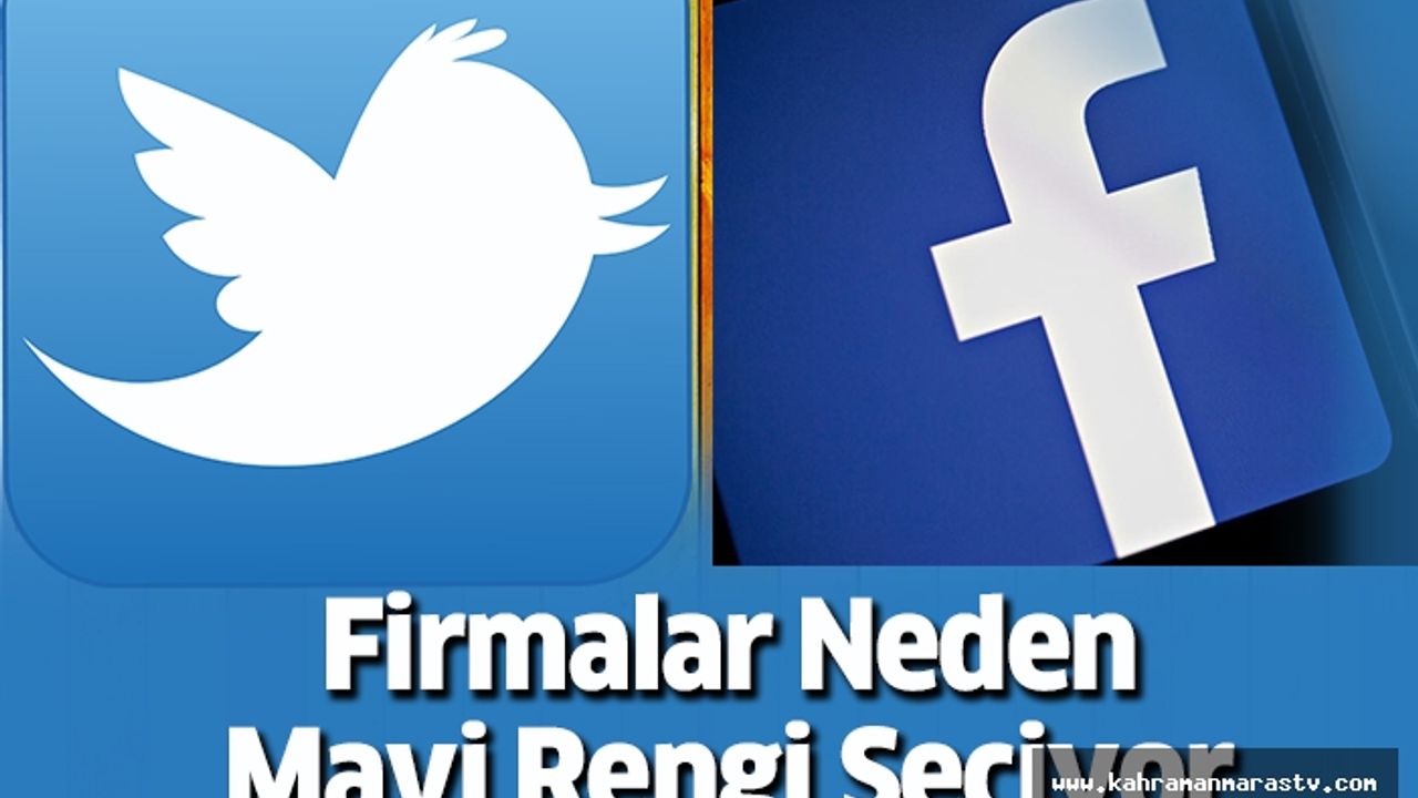 Firmalar Neden Mavi Rengi Seçiyor