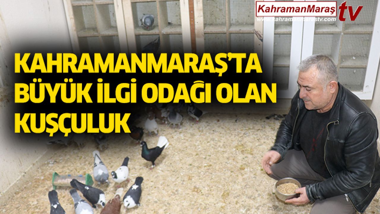 KAHRAMANMARAŞ’TA BÜYÜK İLGİ ODAĞI OLAN KUŞÇULUK