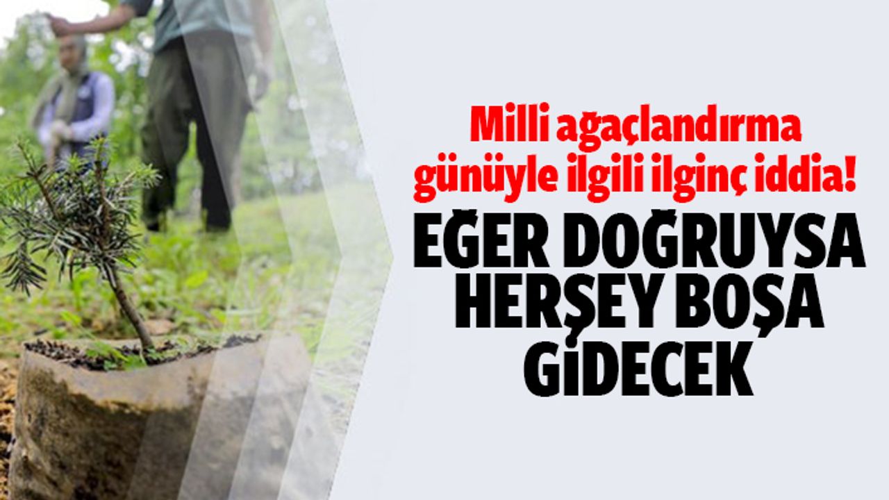 Milli ağaç dikme günüyle ilgili ilginç iddia!