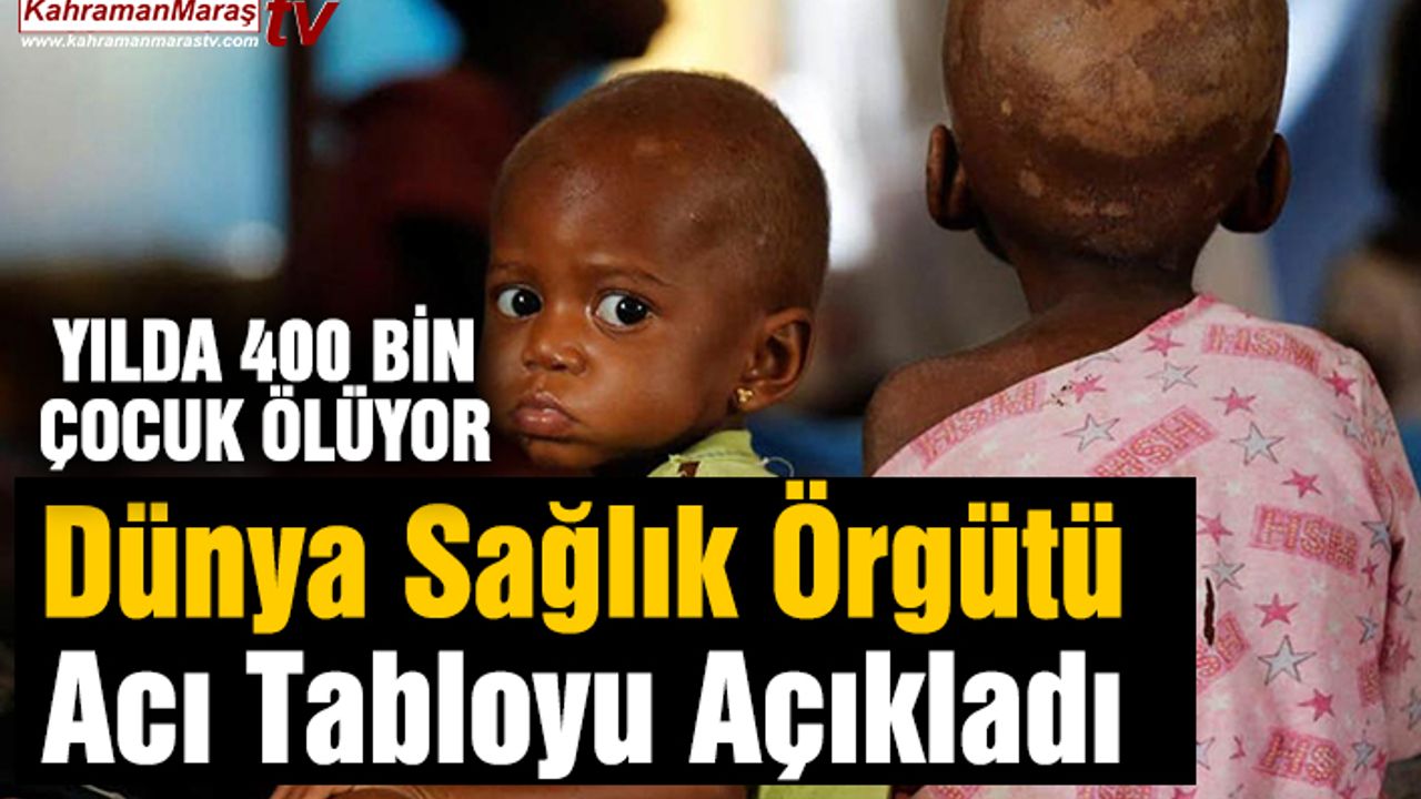Dünya Sağlık Örgütü Açıkladı Yılda 400 bin insan ölüyor