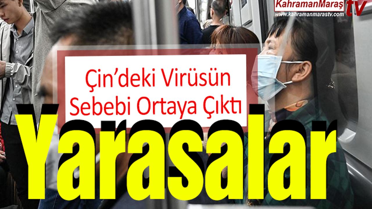 Corona Virüsünün Sebebi ‘Yarasalar’