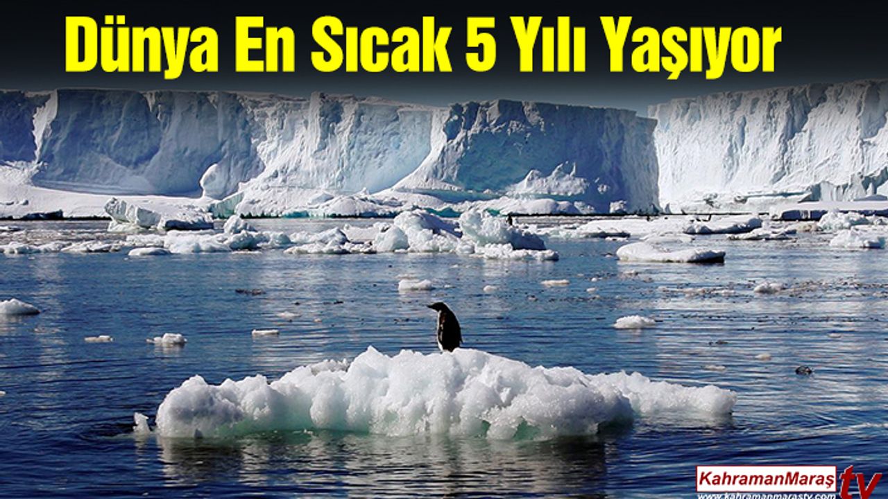 Dünya En Sıcak 5 Yılı Yaşıyor