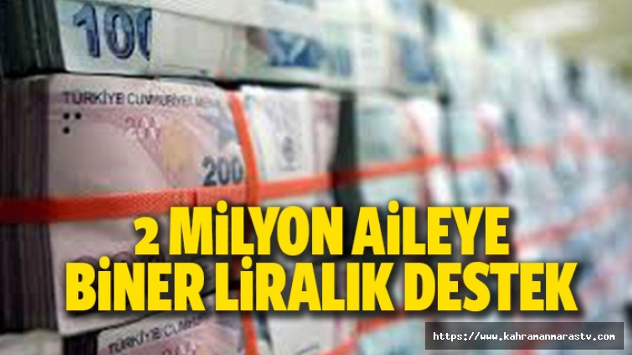 2 Milyon Aileye Biner Liralık Destek