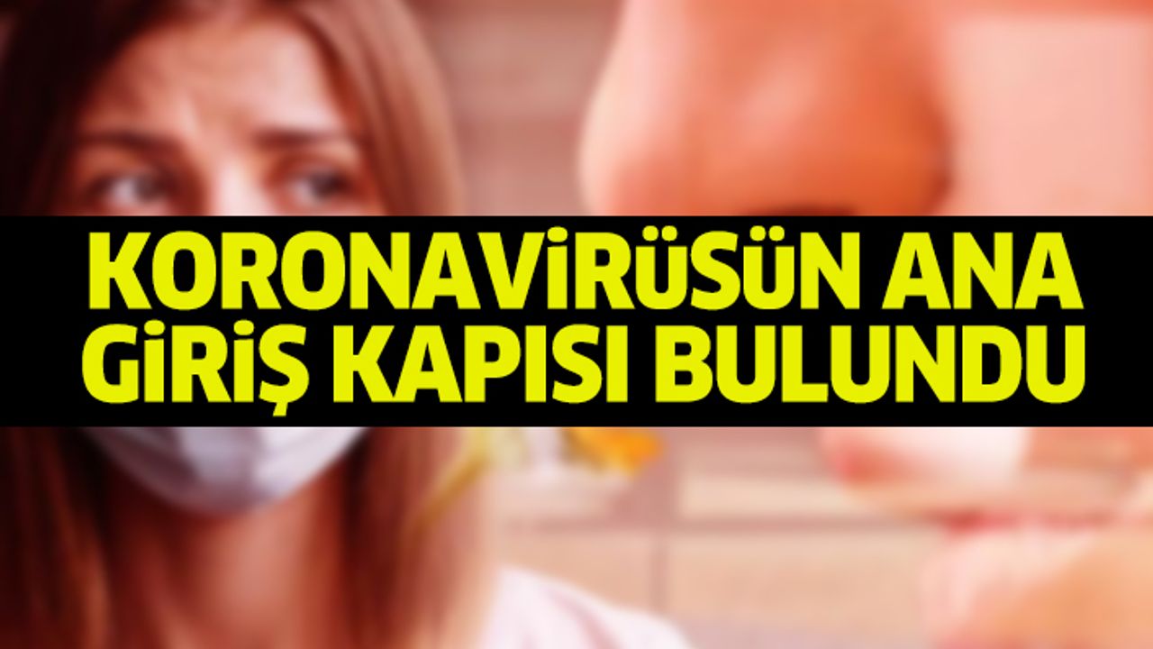 Koranavirüsünün İnsan Vücudunda Bulaştığı Ana Noktalar Uzmanlar Tarafından Net Olarak Açıklandı