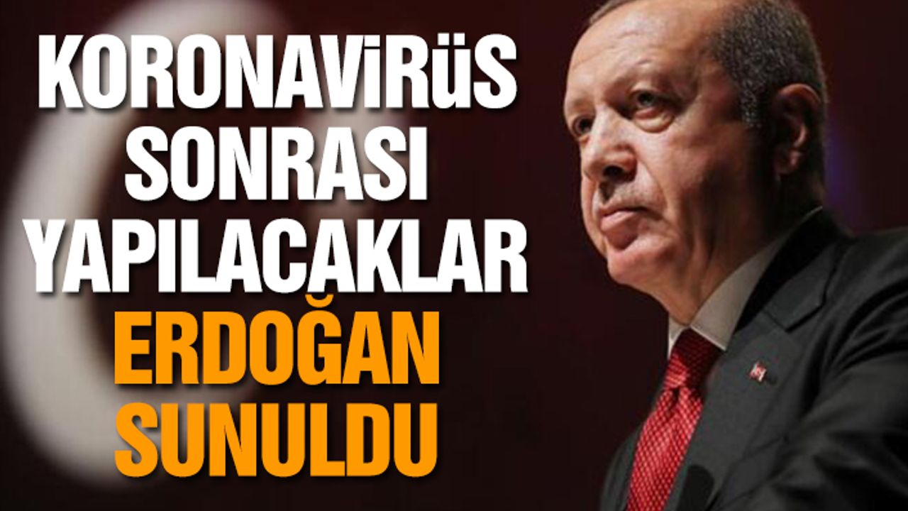 Virüs Salgını Bittikten Sonra Ki Süreç İçin 9 Maddelik Rapor Cumhurbaşkanına Sunuldu