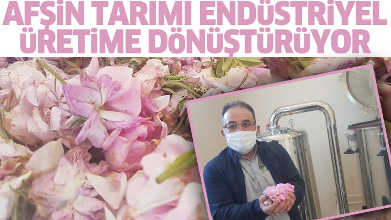 Afşin Tarımı Endüstriyel Üretime Dönüştürüyor
