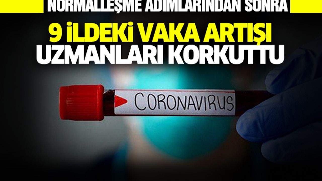 Normalleşme adımlarından sonra 9 ildeki vaka artışı uzmanları korkuttu