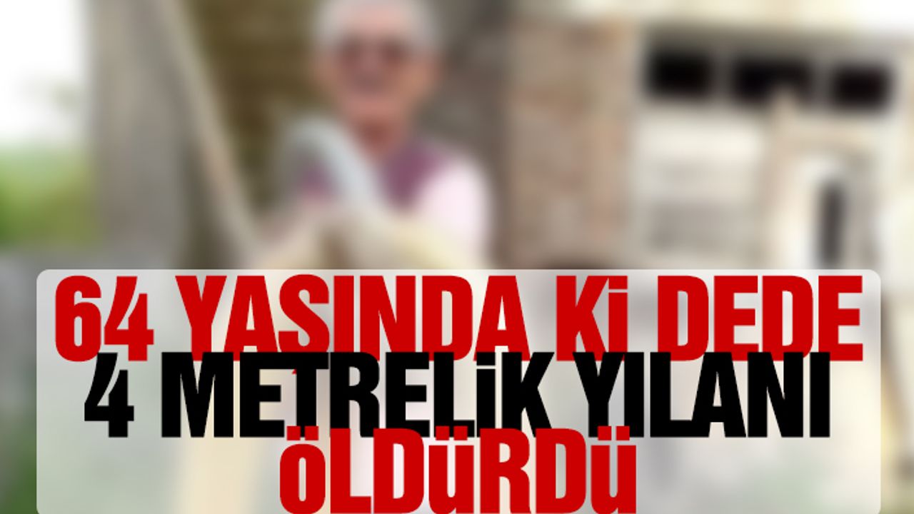 64 Yaşında Ki Dede 4 Metrelik Yılanı Öldürdü