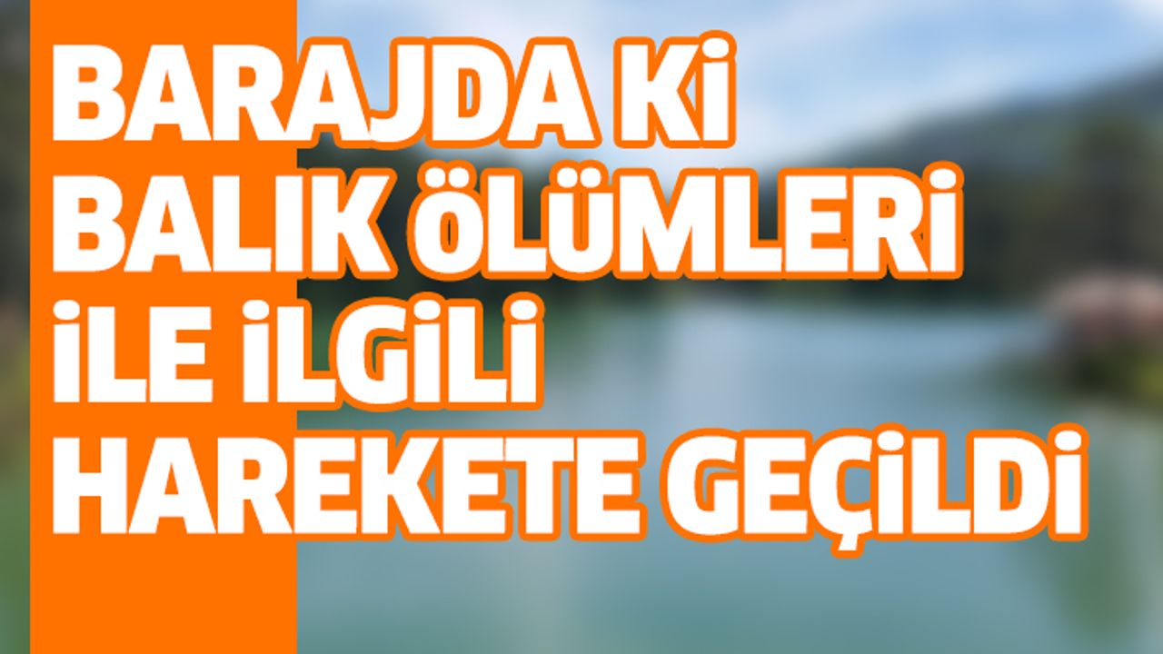 Barajda Ki Balık Ölümleri İle İlgili Harekete Geçildi