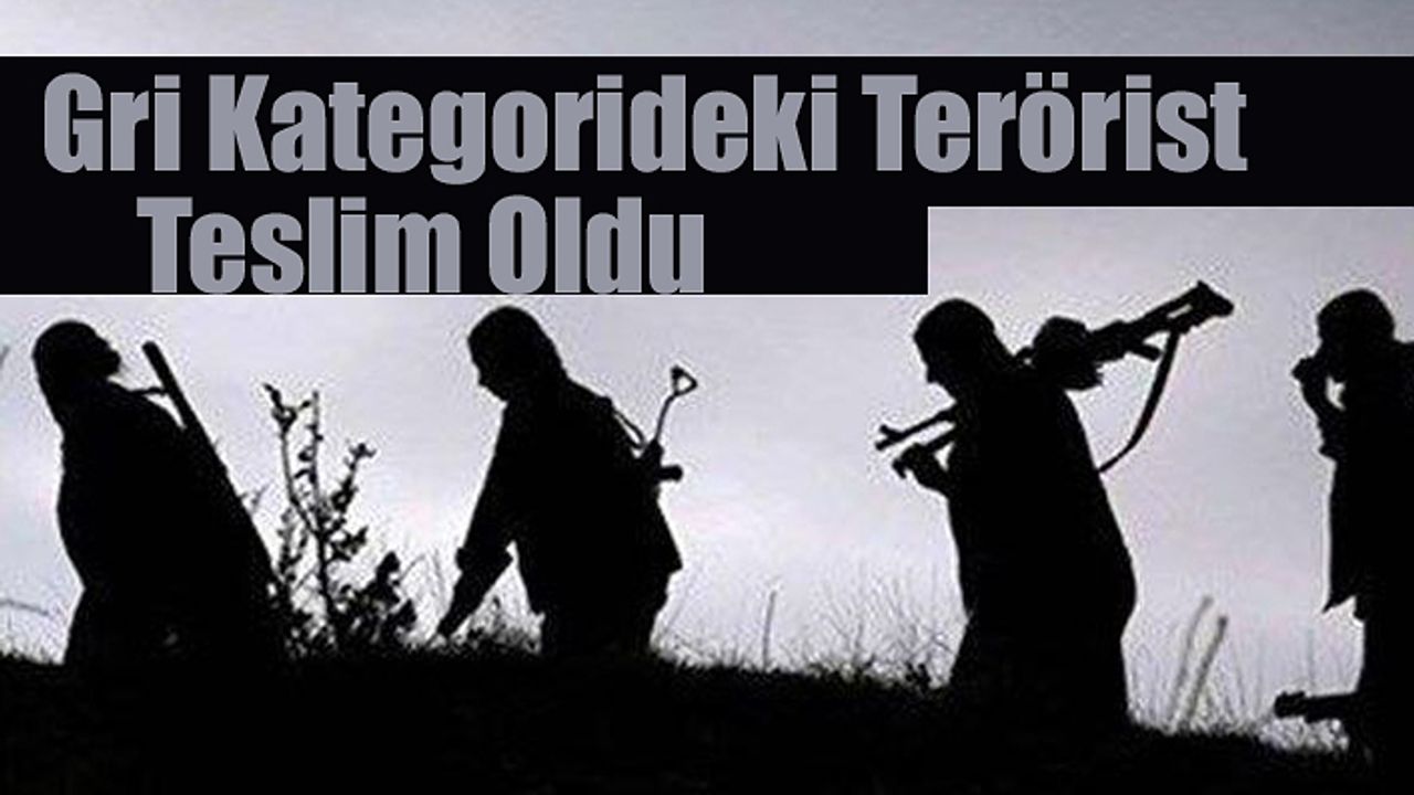 Gri Kategorideki Terörist Teslim Oldu