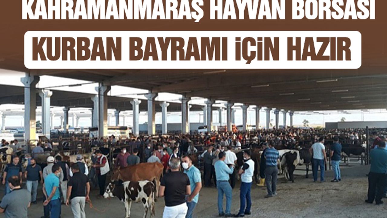 Kahramanmaraş Hayvan Borsası Kurban Bayramı İçin Hazır