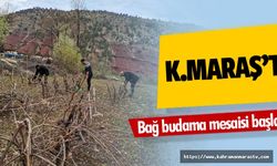 Kahramanmaraş'ta bağ budama mesaisi başladı