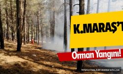 Kahramanmaraş’ta orman yangını!