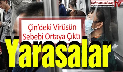 Corona Virüsünün Sebebi ‘Yarasalar’