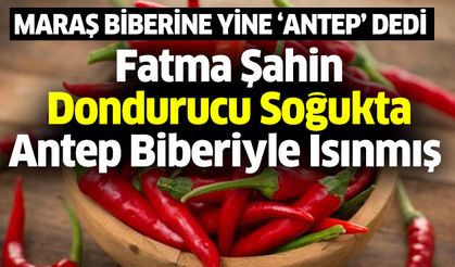 Fatma Şahin Kahramanmaraş Biberine Yine ‘Antep Biberi’ dedi