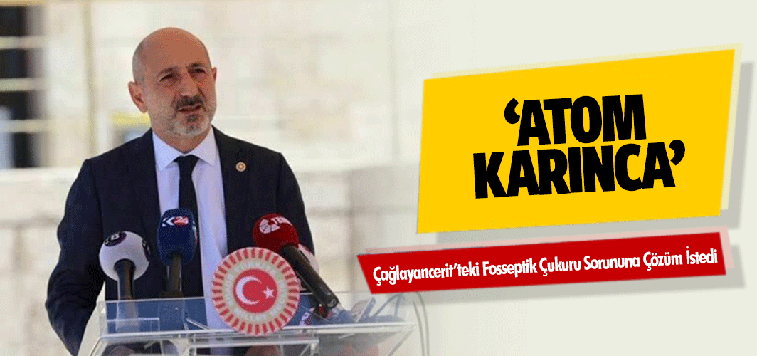 ‘Atom Karınca’, Çağlayancerit’teki Fosseptik Çukuru Sorununa Çözüm İstedi