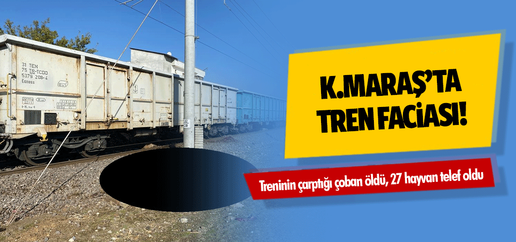 Kahramanmaraş’ta yük treninin çarptığı çoban öldü, 27 hayvan telef oldu