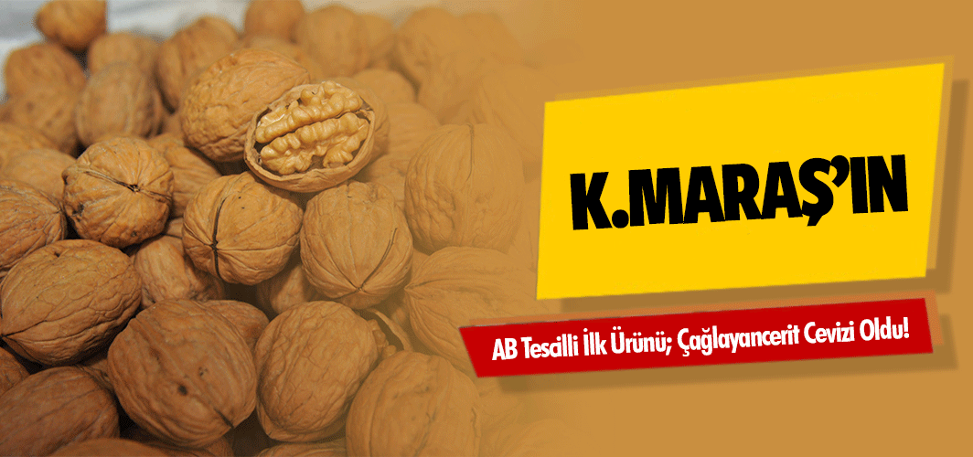 Kahramanmaraş’ın Ab Tescilli İlk Ürünü; Çağlayancerit Cevizi Oldu!