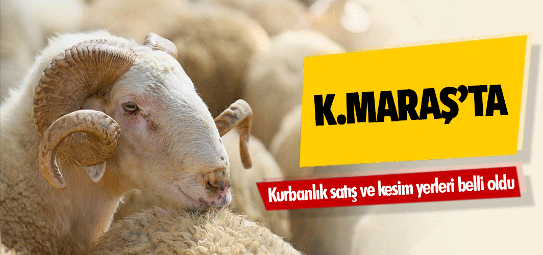 Kahramanmaraş’ta kurbanlık satış ve kesim yerleri belli oldu